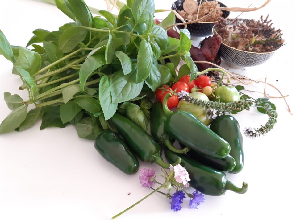 An array of vegetables and herbs sitting on a white table, including jalepeño, tomato, basil and flowers